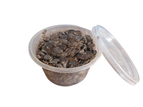 Dawadawa (African Locust beans)
