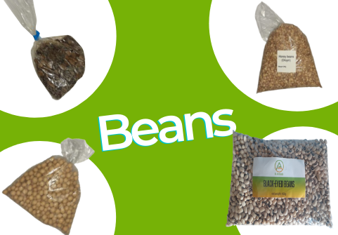 organic beans online